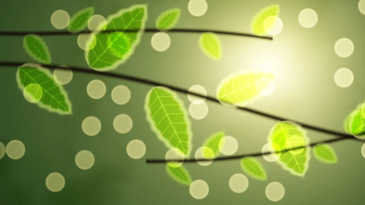Young beech leaves held against the sun, glowing lime and gold among soft discs of light